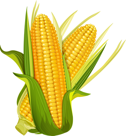 RootVest Agro