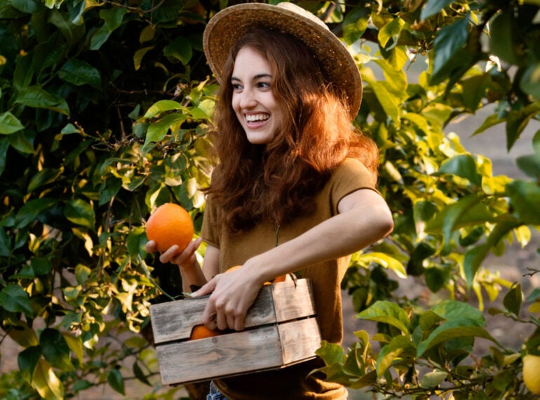 Fresh Vegetables